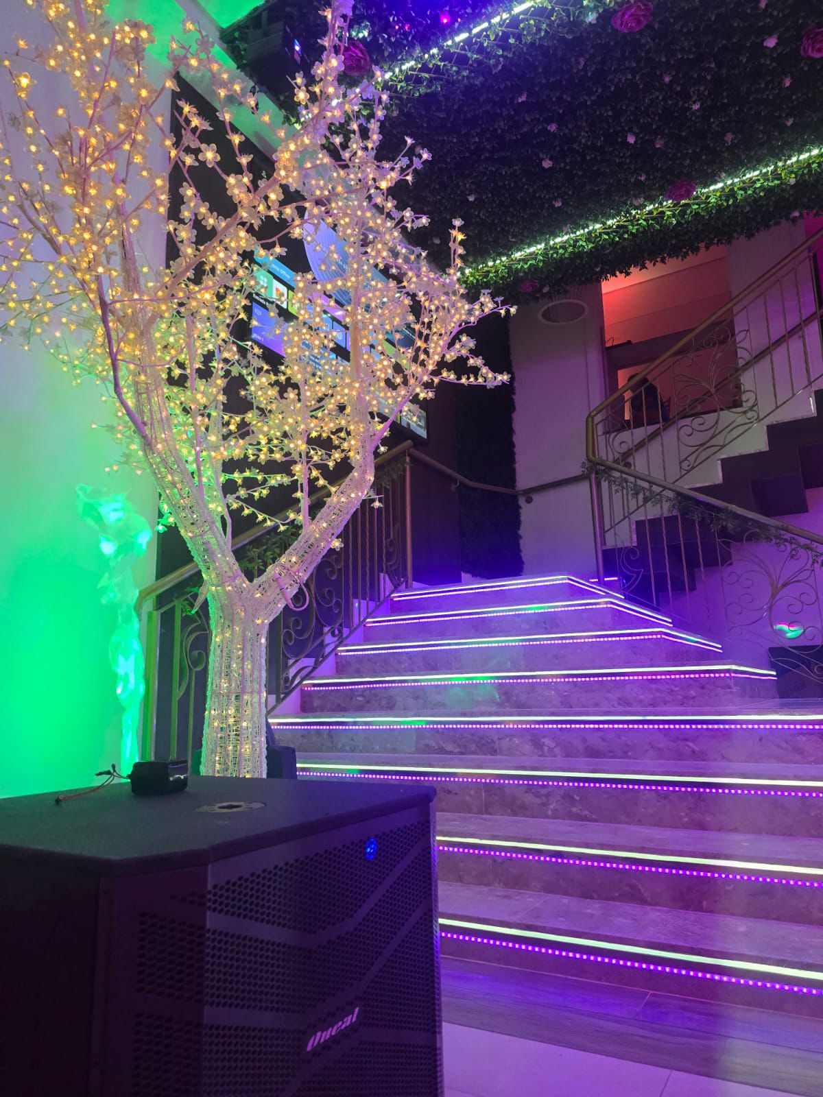 Escadaria com árvore iluminada